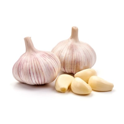 Чеснок крупный 1 кг - купить в Гористовке